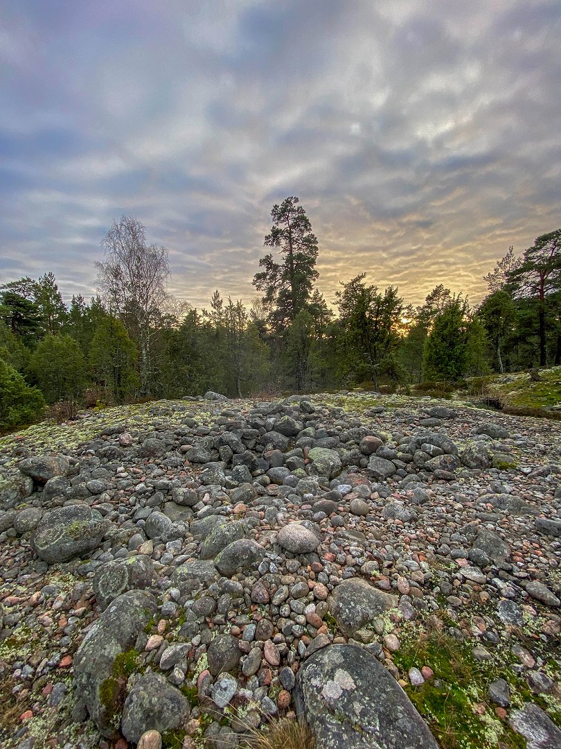 Rösaringsåsens naturreservat, Bro - november 2023 stenar i ring